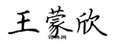 丁謙王蒙欣楷書個性簽名怎么寫