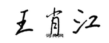 王正良王肖江行書個性簽名怎么寫