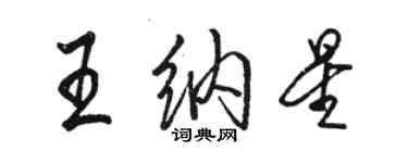 駱恆光王納星行書個性簽名怎么寫