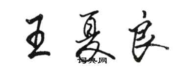 駱恆光王夏良行書個性簽名怎么寫