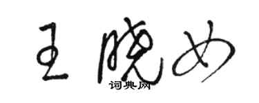 駱恆光王曉女草書個性簽名怎么寫