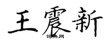 丁謙王震新楷書個性簽名怎么寫