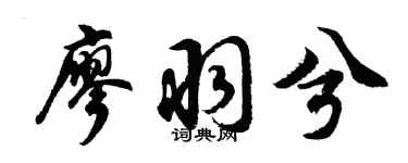 胡問遂廖羽兮行書個性簽名怎么寫