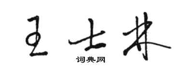 駱恆光王士林草書個性簽名怎么寫