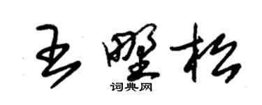 朱錫榮王野松草書個性簽名怎么寫