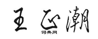 駱恆光王正潮行書個性簽名怎么寫
