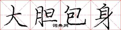 龐中華大膽包身楷書怎么寫