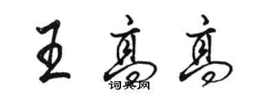 駱恆光王高高行書個性簽名怎么寫