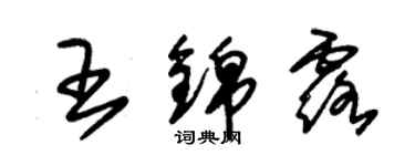 朱錫榮王錦露草書個性簽名怎么寫