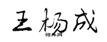曾慶福王楊成行書個性簽名怎么寫