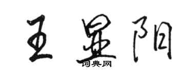 駱恆光王顯陽行書個性簽名怎么寫