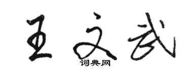 駱恆光王文武行書個性簽名怎么寫