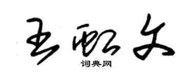 朱錫榮王虹文草書個性簽名怎么寫
