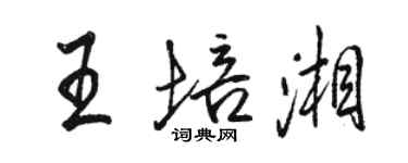 駱恆光王培湘行書個性簽名怎么寫