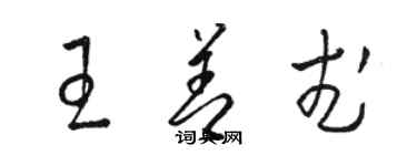 駱恆光王善武草書個性簽名怎么寫