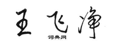駱恆光王飛淨行書個性簽名怎么寫