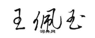 駱恆光王佩玉草書個性簽名怎么寫