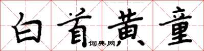 周炳元白首黃童楷書怎么寫