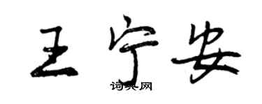 曾慶福王寧安行書個性簽名怎么寫