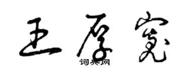 曾慶福王厚寬草書個性簽名怎么寫