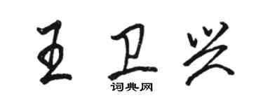 駱恆光王衛興行書個性簽名怎么寫