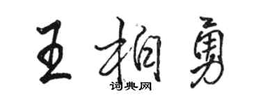 駱恆光王柏勇行書個性簽名怎么寫