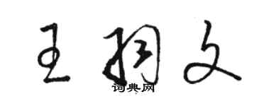 駱恆光王羽文草書個性簽名怎么寫