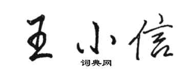 駱恆光王小信行書個性簽名怎么寫