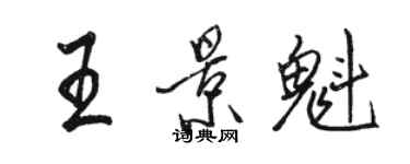 駱恆光王景魁行書個性簽名怎么寫