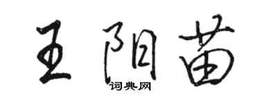 駱恆光王陽苗行書個性簽名怎么寫