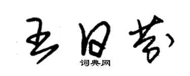 朱錫榮王日芬草書個性簽名怎么寫