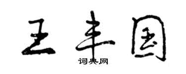 曾慶福王豐國行書個性簽名怎么寫