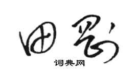 駱恆光田剛草書個性簽名怎么寫