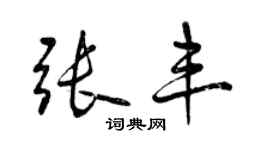 曾慶福張豐行書個性簽名怎么寫