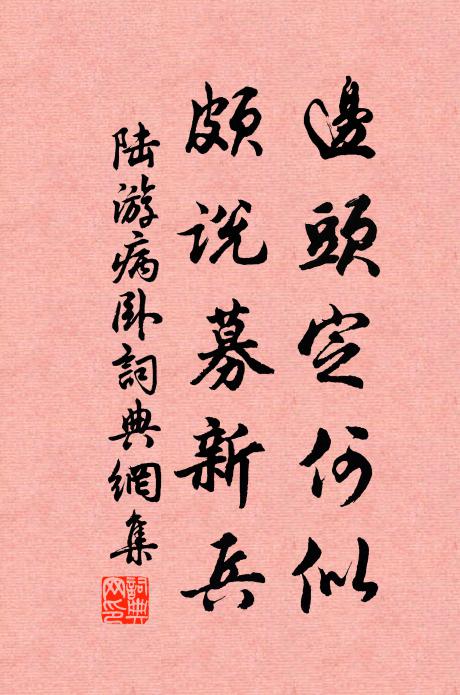 秋花更清妍，綽約冰雪容 詩詞名句