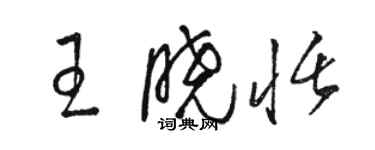 駱恆光王曉恬草書個性簽名怎么寫