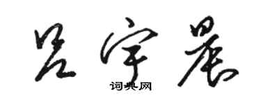 駱恆光呂宇晨草書個性簽名怎么寫