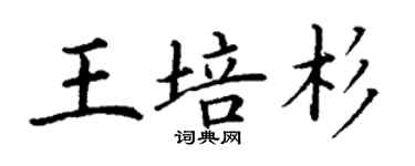 丁謙王培杉楷書個性簽名怎么寫