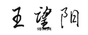 駱恆光王望陽行書個性簽名怎么寫
