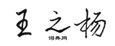 駱恆光王之楊行書個性簽名怎么寫