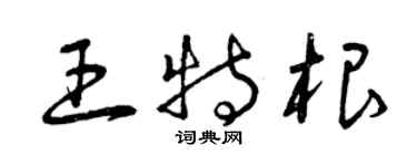 曾慶福王特根草書個性簽名怎么寫