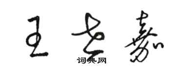 駱恆光王世嘉草書個性簽名怎么寫