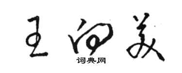 駱恆光王向美草書個性簽名怎么寫