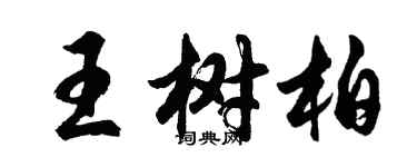 胡問遂王樹柏行書個性簽名怎么寫