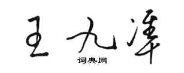 駱恆光王九準草書個性簽名怎么寫