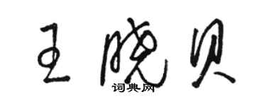 駱恆光王曉貝草書個性簽名怎么寫