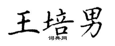 丁謙王培男楷書個性簽名怎么寫