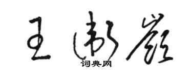 駱恆光王衛嶺草書個性簽名怎么寫