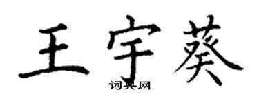 丁謙王宇葵楷書個性簽名怎么寫
