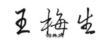 駱恆光王梅生行書個性簽名怎么寫